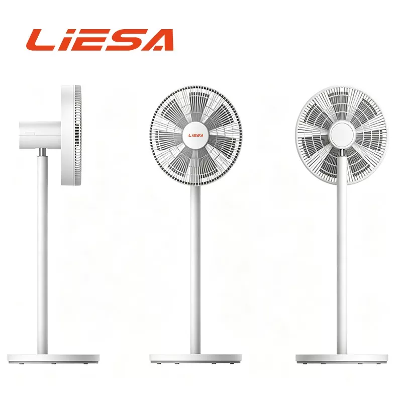 DC Motor Circulation Fan