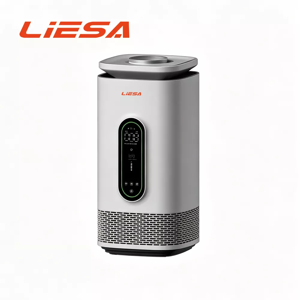 Dual Function na Air Purifier Humidifier